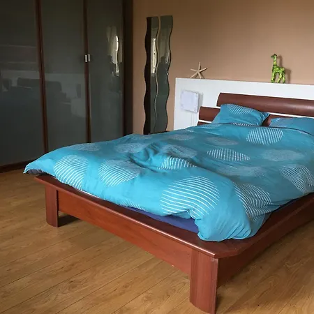 Grand Avec Piscine, Cheminee Et Terrasse Pres De Luneville, Ideal Pour Familles Et Groupes - Fr-1-584-84 Vakantiehuis